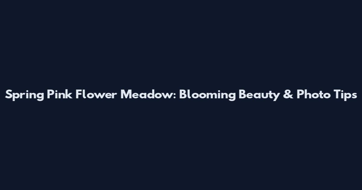Spring Pink Flower Meadow: Blooming Beauty & Photo Tips