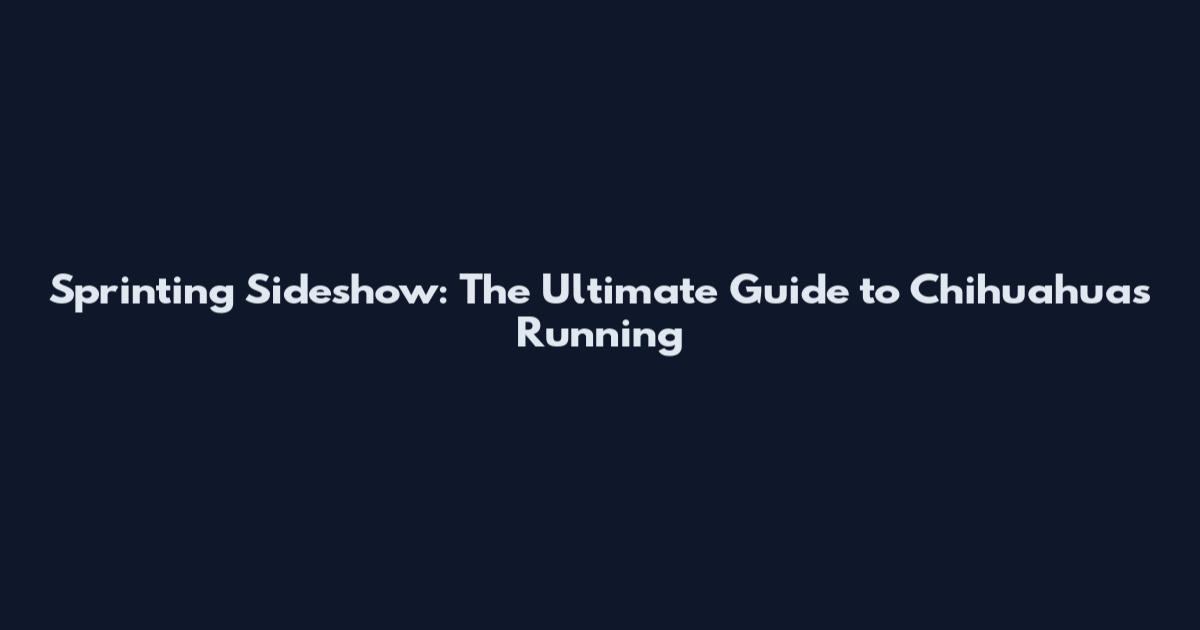 Sprinting Sideshow: The Ultimate Guide to Chihuahuas Running
