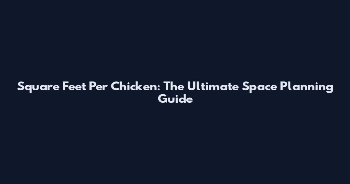 Square Feet Per Chicken: The Ultimate Space Planning Guide