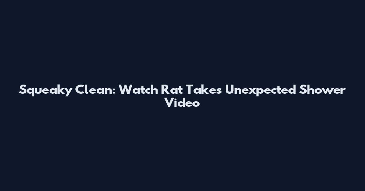 Squeaky Clean: Watch Rat Takes Unexpected Shower Video