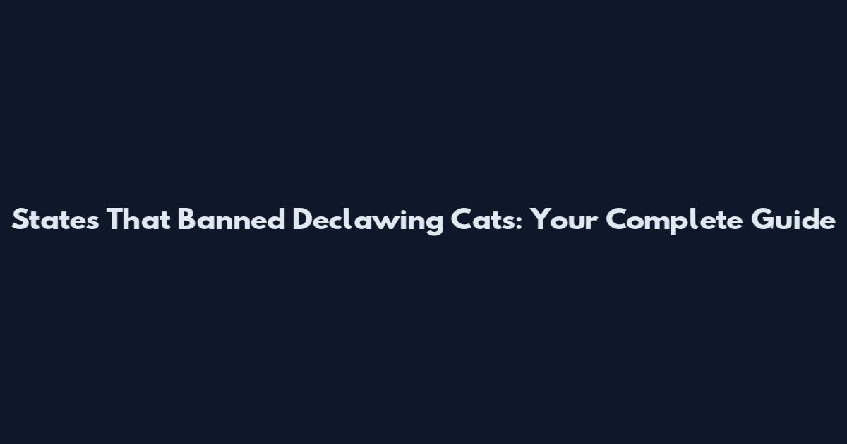 States That Banned Declawing Cats: Your Complete Guide