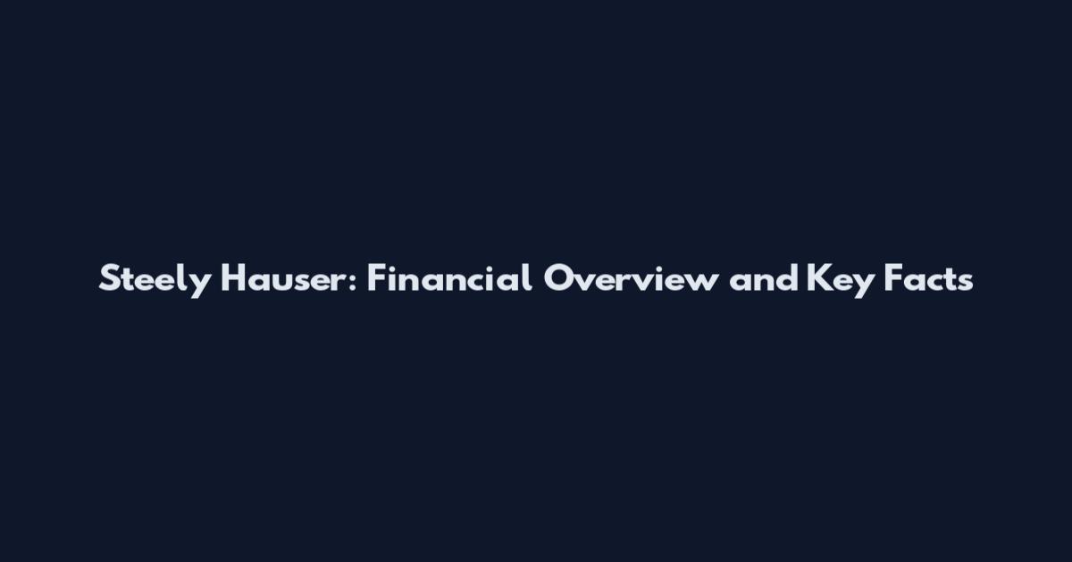 Steely Hauser: Financial Overview and Key Facts