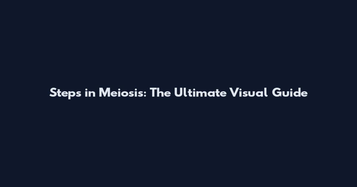 Steps in Meiosis: The Ultimate Visual Guide