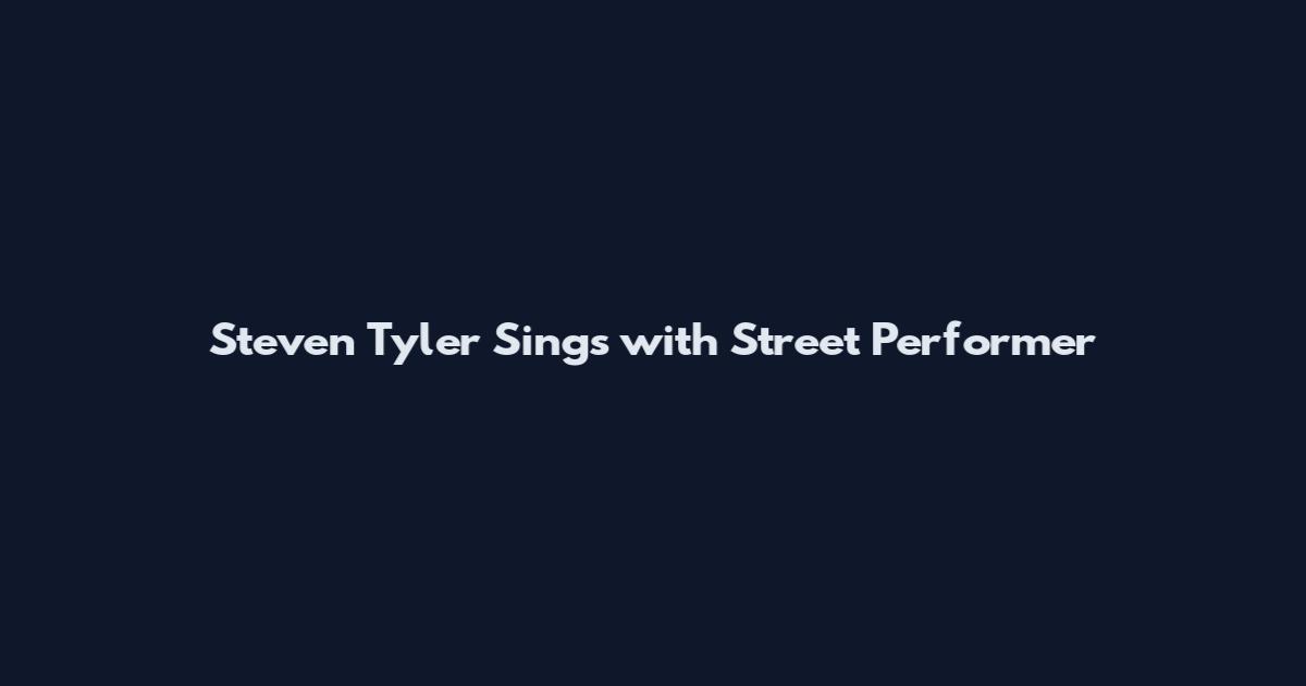Steven Tyler Sings with Street Performer