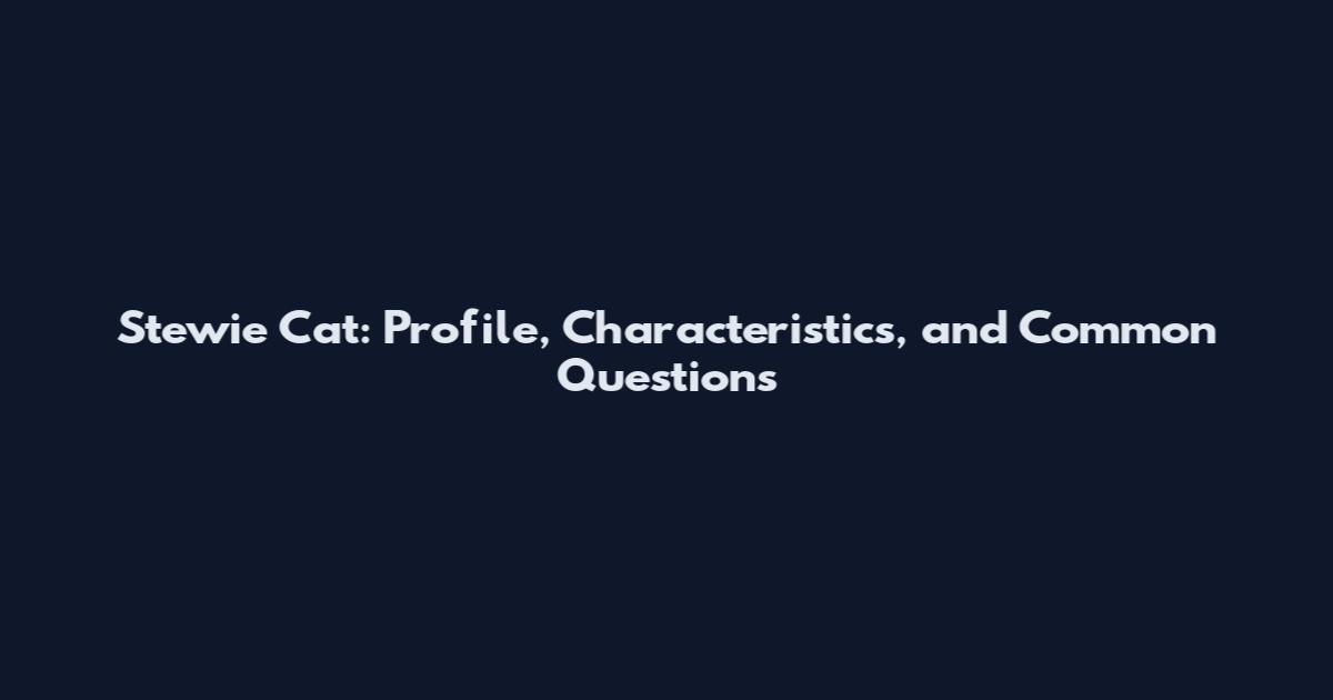 Stewie Cat: Profile, Characteristics, and Common Questions