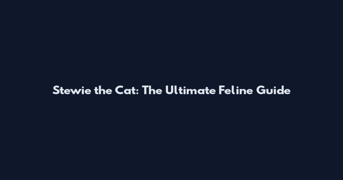 Stewie the Cat: The Ultimate Feline Guide