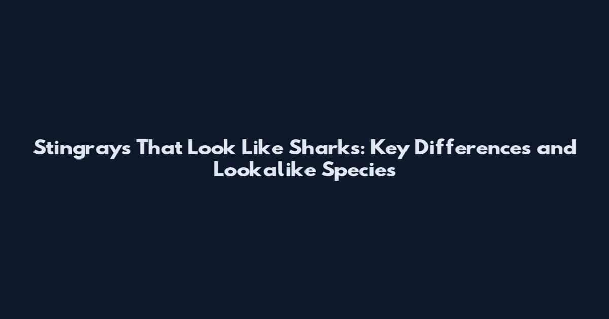 Stingrays That Look Like Sharks: Key Differences and Lookalike Species
