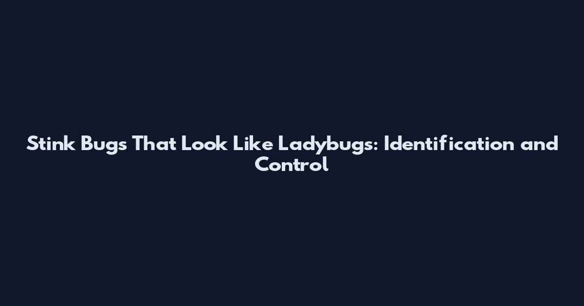 Stink Bugs That Look Like Ladybugs: Identification and Control