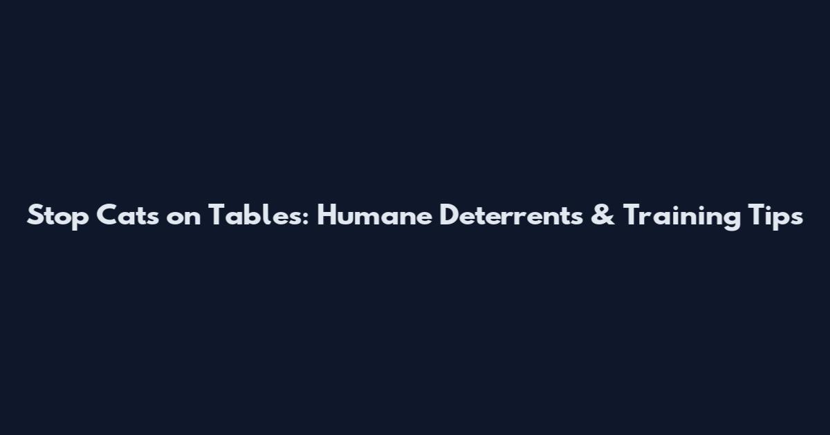 Stop Cats on Tables: Humane Deterrents & Training Tips