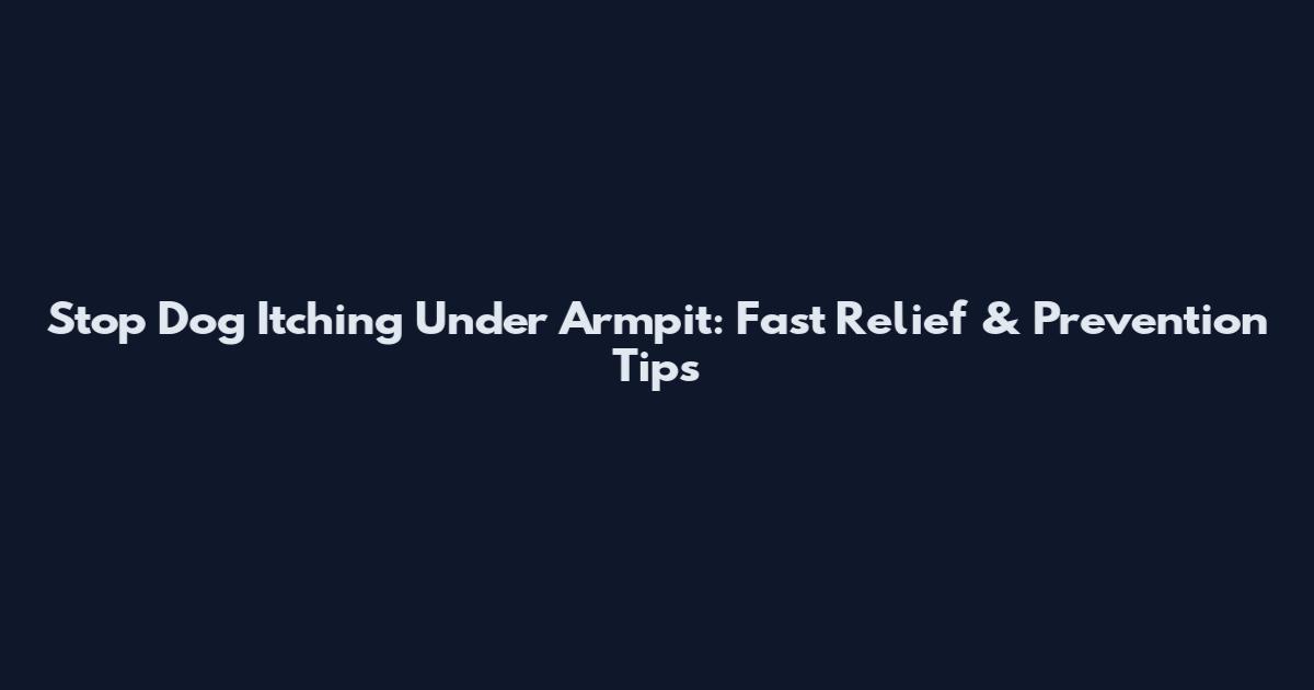 Stop Dog Itching Under Armpit: Fast Relief & Prevention Tips