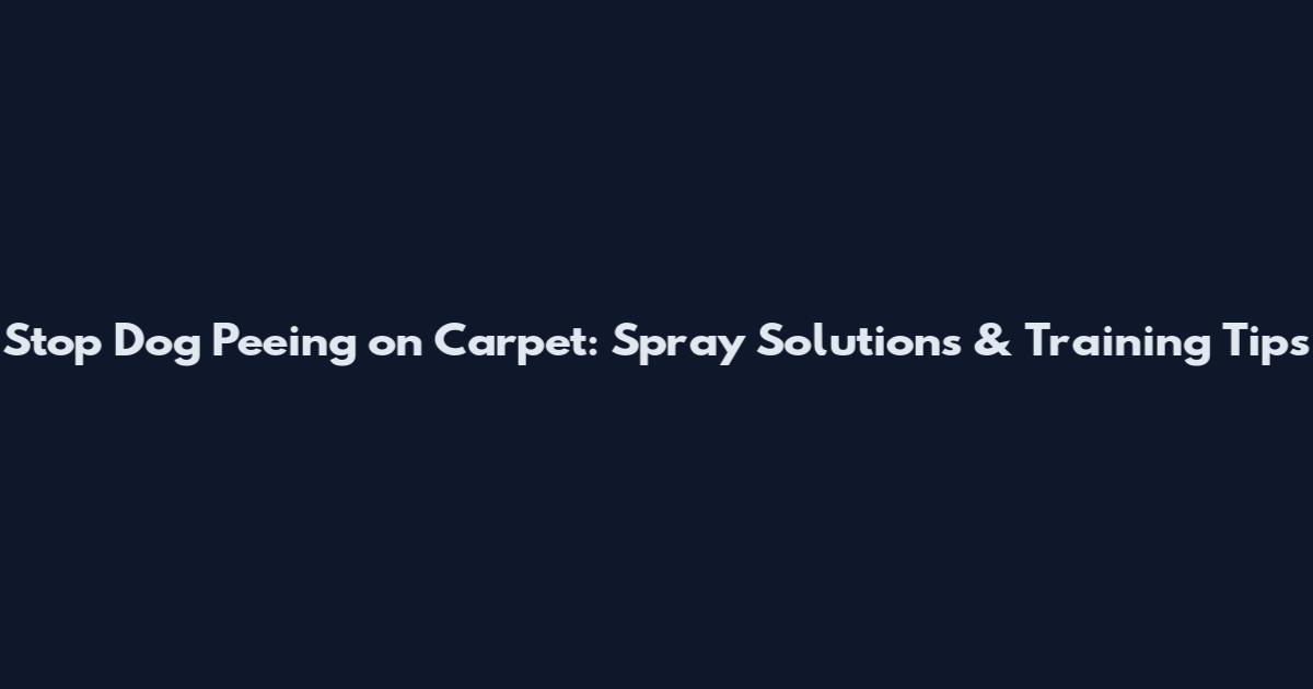 Stop Dog Peeing on Carpet: Spray Solutions & Training Tips