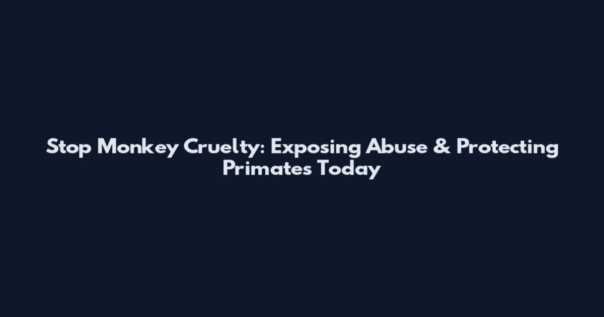 Stop Monkey Cruelty: Exposing Abuse & Protecting Primates Today