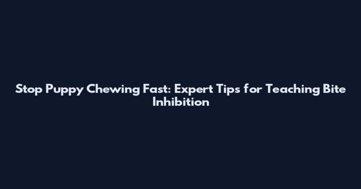 Stop Puppy Chewing Fast: Expert Tips for Teaching Bite Inhibition
