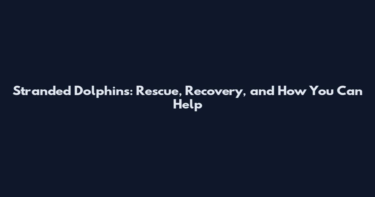 Stranded Dolphins: Rescue, Recovery, and How You Can Help