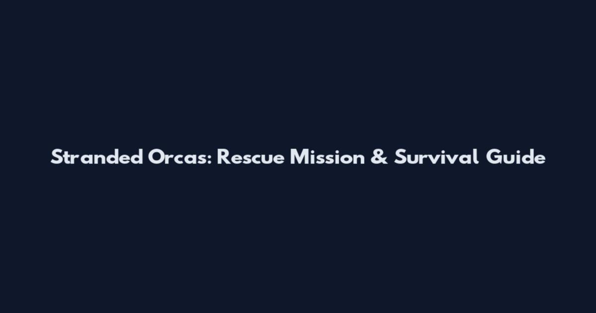 Stranded Orcas: Rescue Mission & Survival Guide