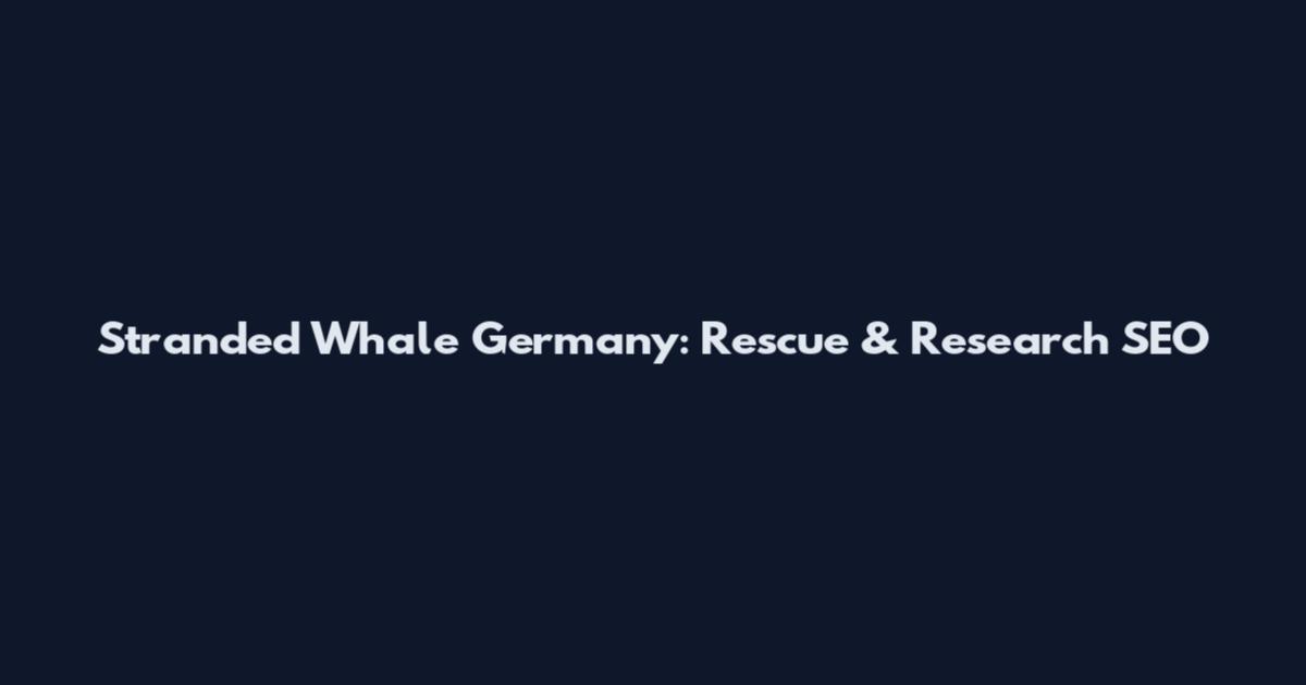 Stranded Whale Germany: Rescue & Research SEO