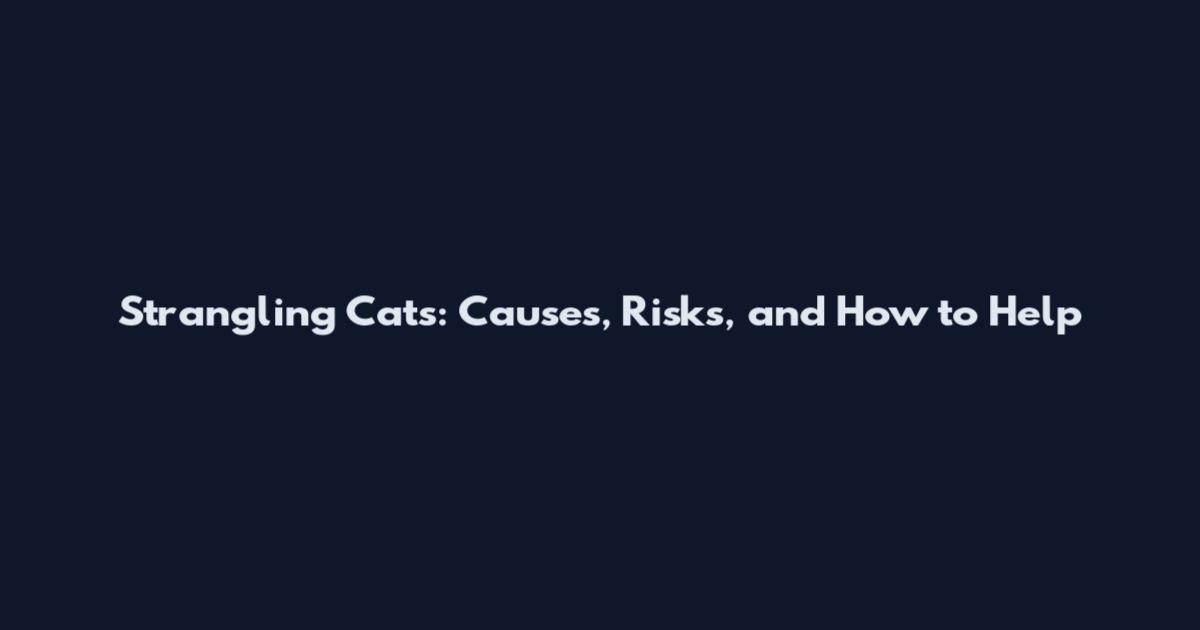 Strangling Cats: Causes, Risks, and How to Help