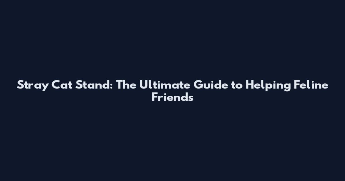 Stray Cat Stand: The Ultimate Guide to Helping Feline Friends