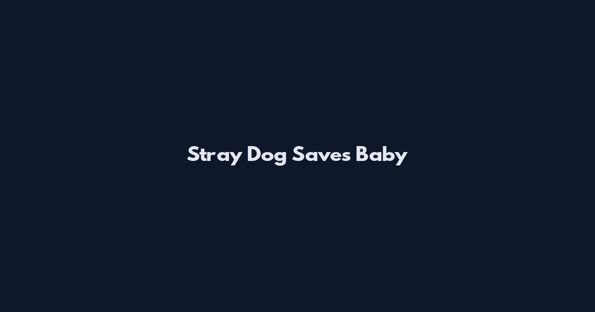 Stray Dog Saves Baby