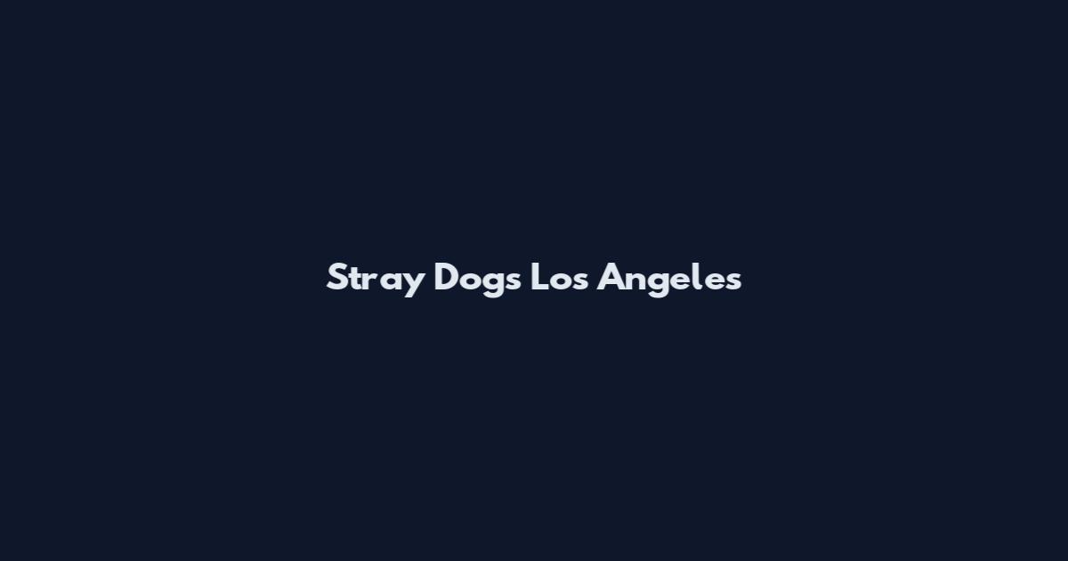Stray Dogs Los Angeles