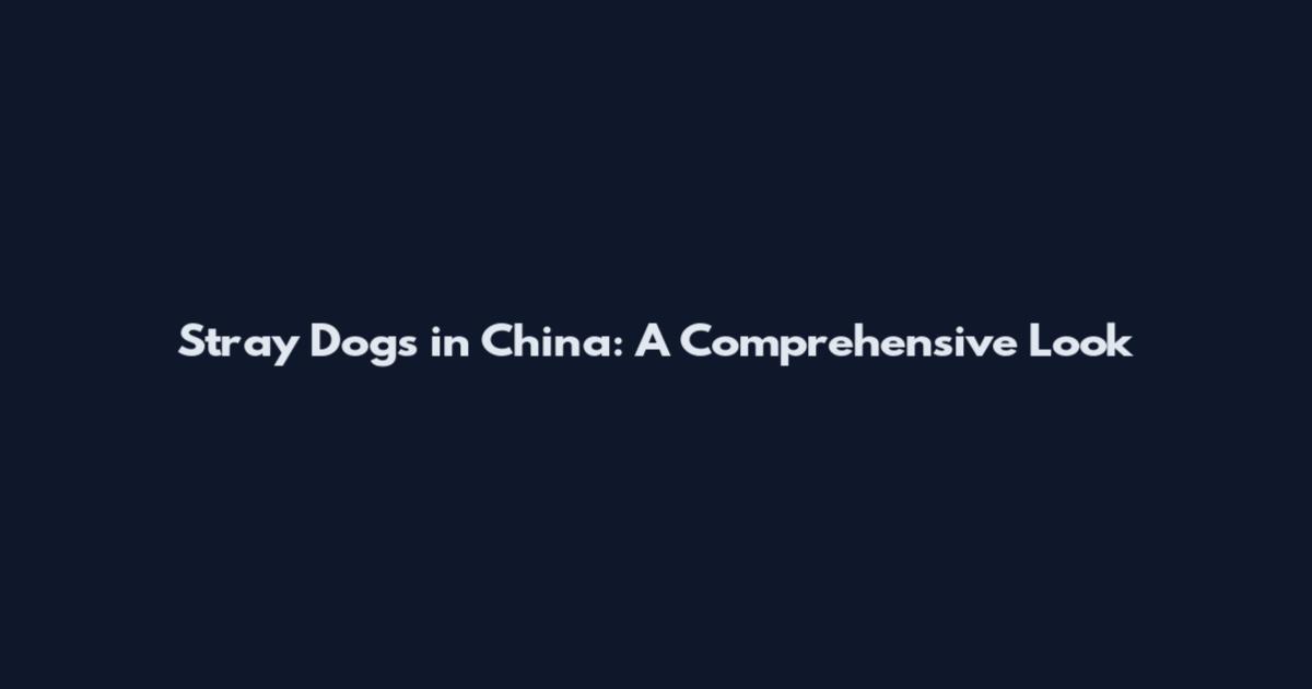 Stray Dogs in China: A Comprehensive Look