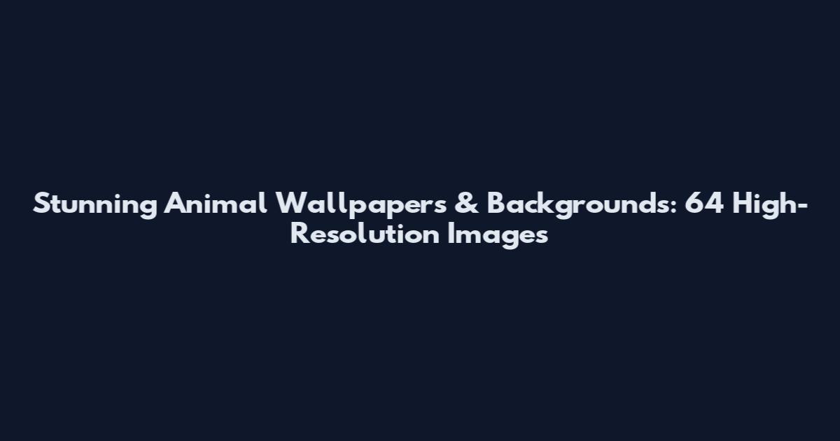 Stunning Animal Wallpapers & Backgrounds: 64 High-Resolution Images