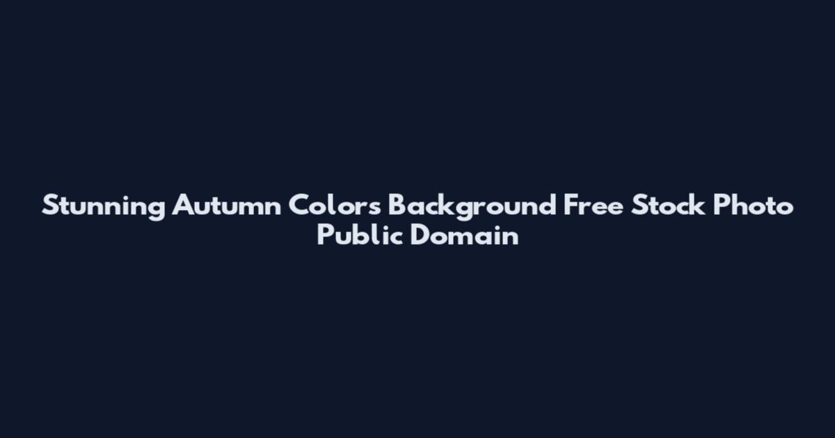 Stunning Autumn Colors Background Free Stock Photo Public Domain