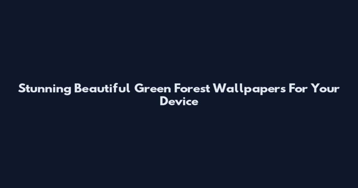 Stunning Beautiful Green Forest Wallpapers For Your Device