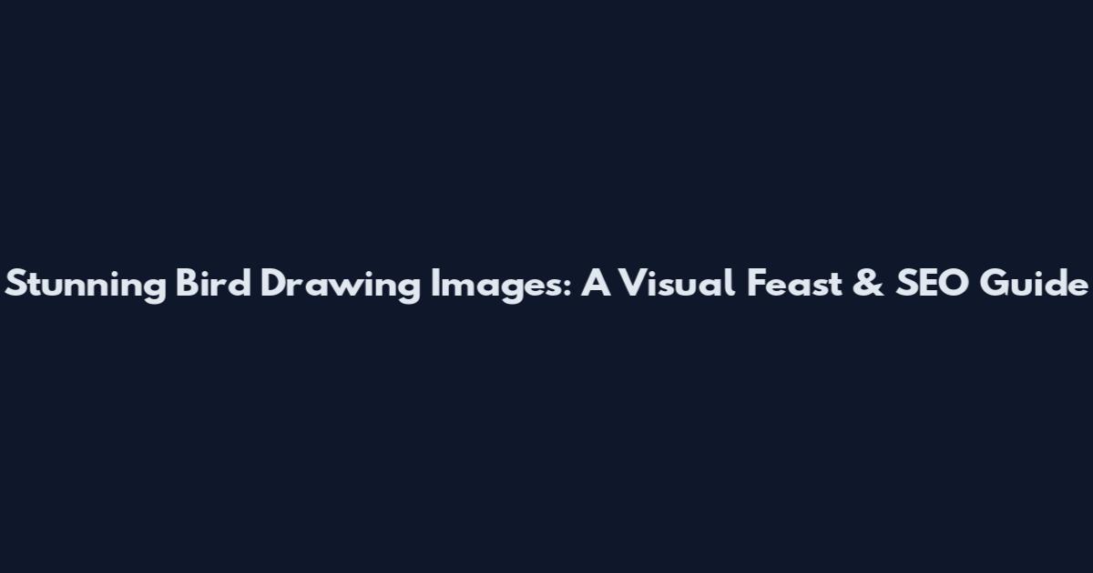 Stunning Bird Drawing Images: A Visual Feast & SEO Guide
