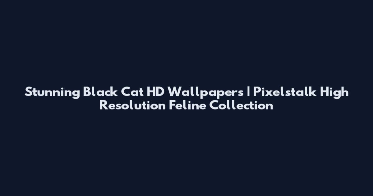 Stunning Black Cat HD Wallpapers | Pixelstalk High Resolution Feline Collection