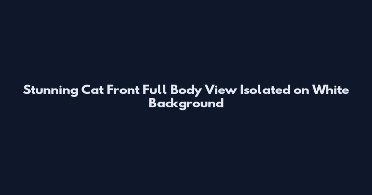 Stunning Cat Front Full Body View Isolated on White Background