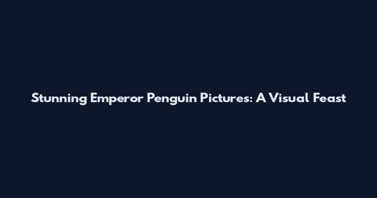Stunning Emperor Penguin Pictures: A Visual Feast