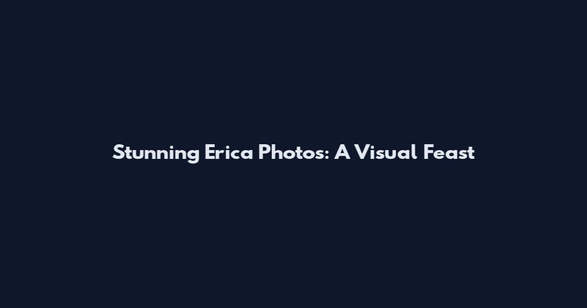Stunning Erica Photos: A Visual Feast