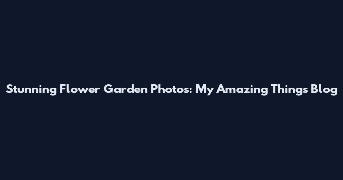 Stunning Flower Garden Photos: My Amazing Things Blog