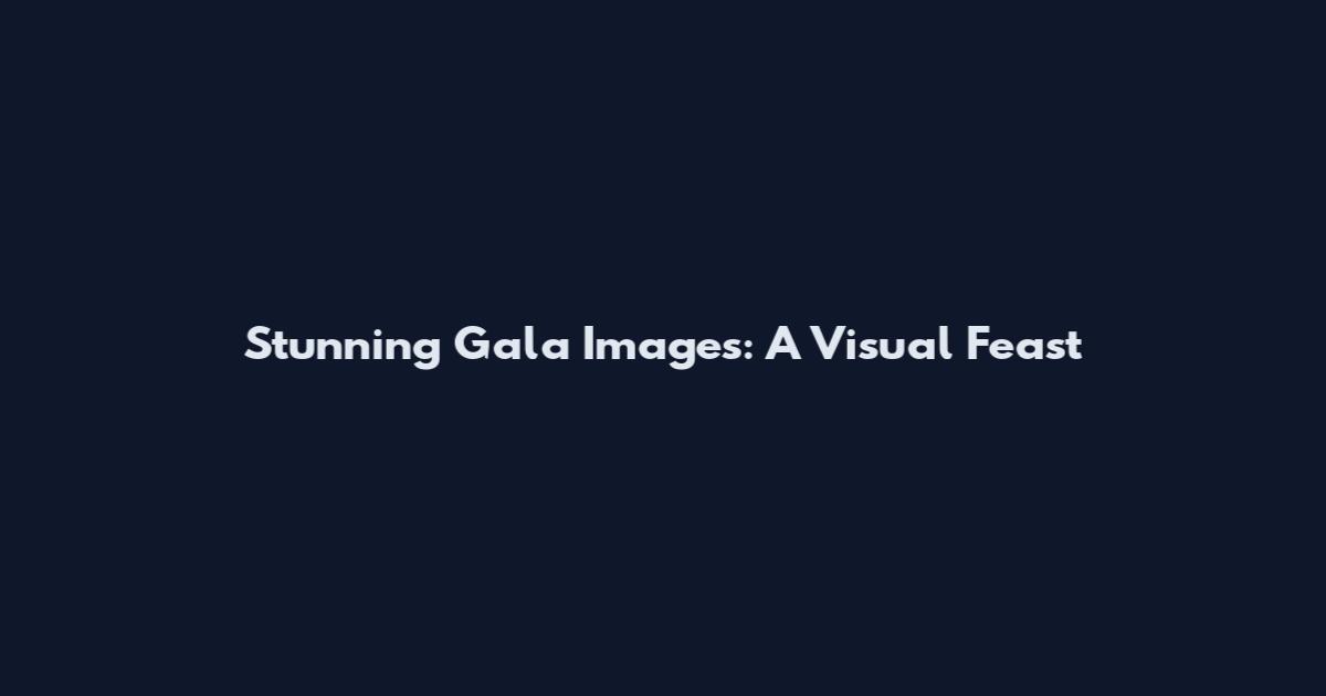 Stunning Gala Images: A Visual Feast