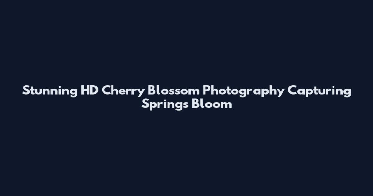 Stunning HD Cherry Blossom Photography Capturing Spring's Bloom