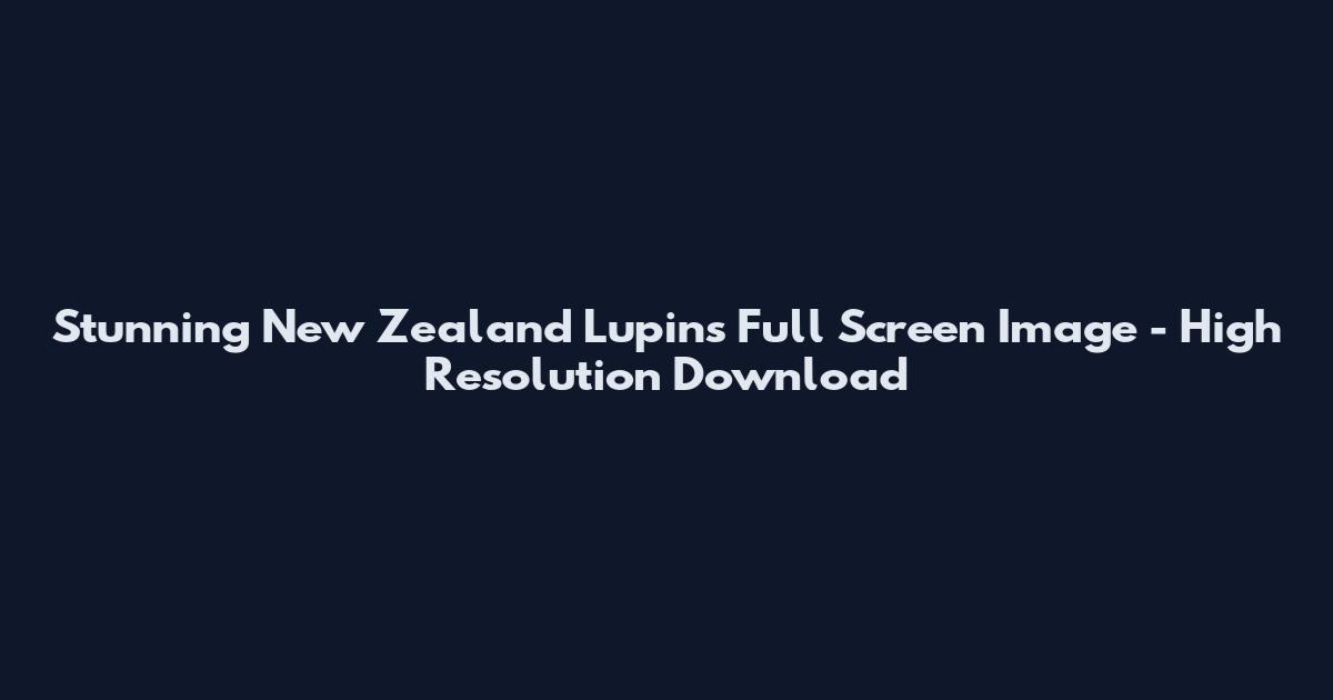 Stunning New Zealand Lupins Full Screen Image - High Resolution Download