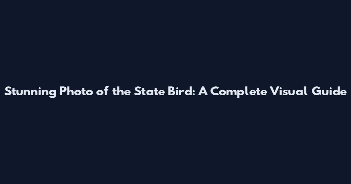 Stunning Photo of the State Bird: A Complete Visual Guide