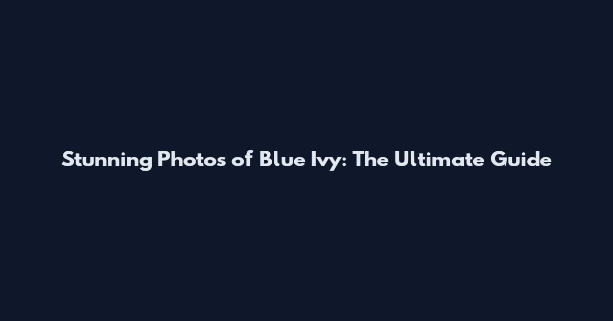 Stunning Photos of Blue Ivy: The Ultimate Guide