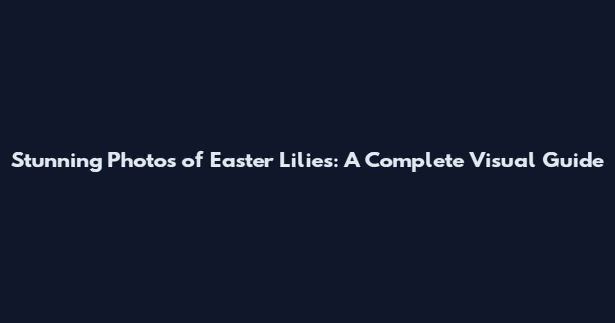 Stunning Photos of Easter Lilies: A Complete Visual Guide