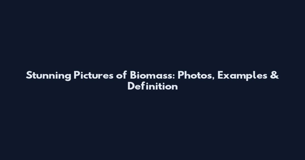 Stunning Pictures of Biomass: Photos, Examples & Definition