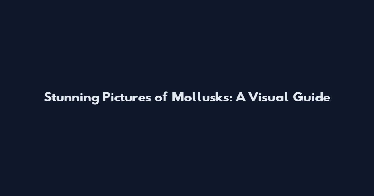 Stunning Pictures of Mollusks: A Visual Guide