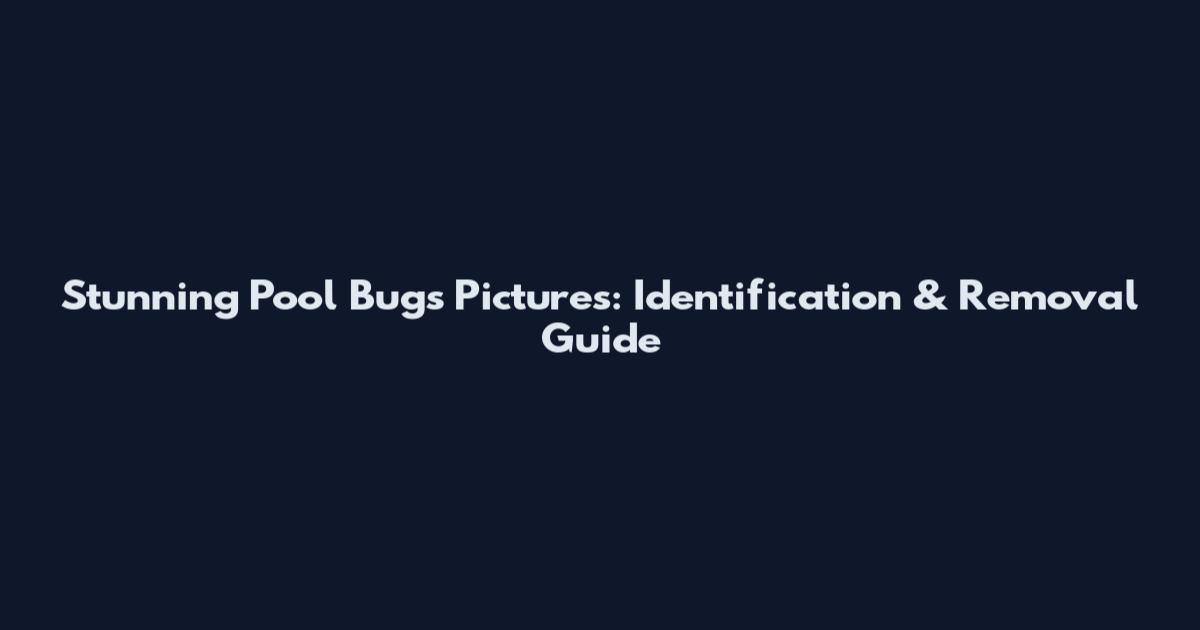 Stunning Pool Bugs Pictures: Identification & Removal Guide