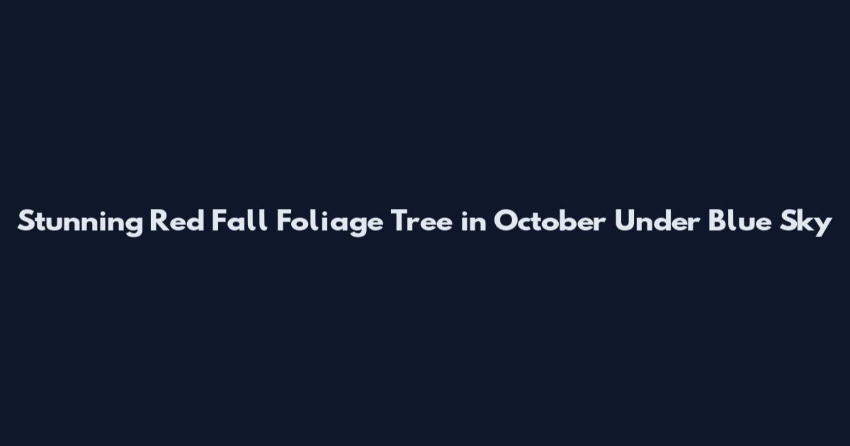 Stunning Red Fall Foliage Tree in October Under Blue Sky