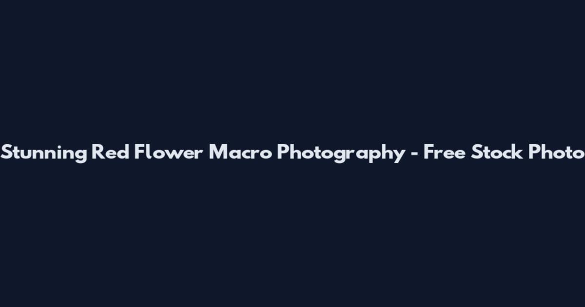 Stunning Red Flower Macro Photography - Free Stock Photo