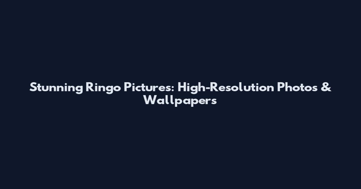Stunning Ringo Pictures: High-Resolution Photos & Wallpapers