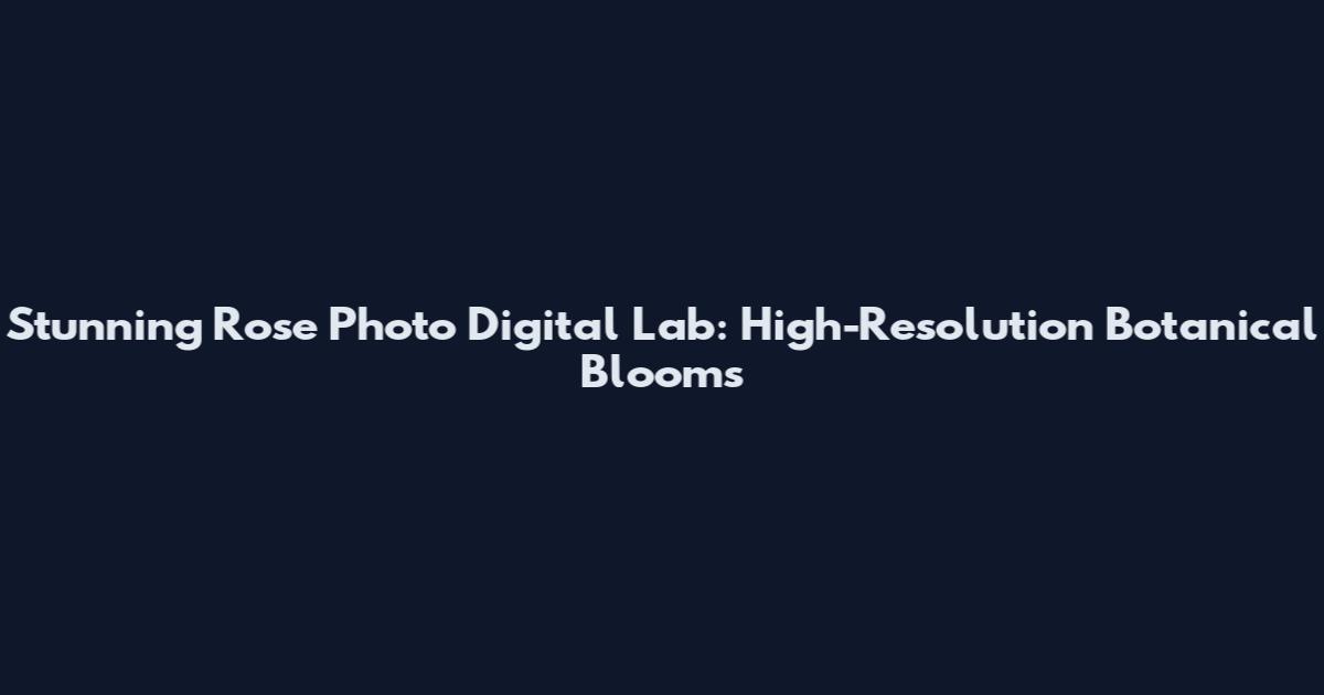 Stunning Rose Photo Digital Lab: High-Resolution Botanical Blooms