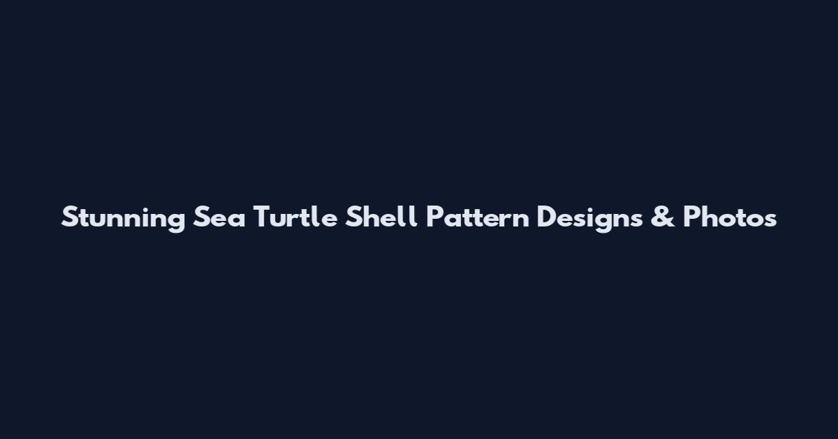 Stunning Sea Turtle Shell Pattern Designs & Photos