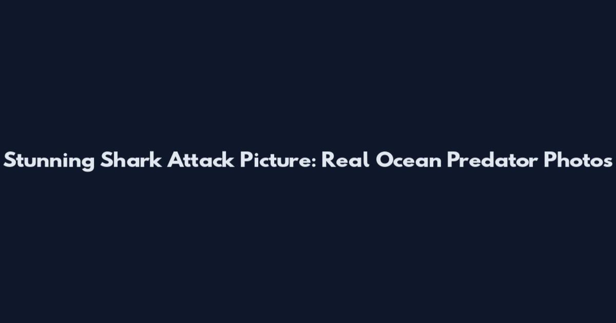 Stunning Shark Attack Picture: Real Ocean Predator Photos