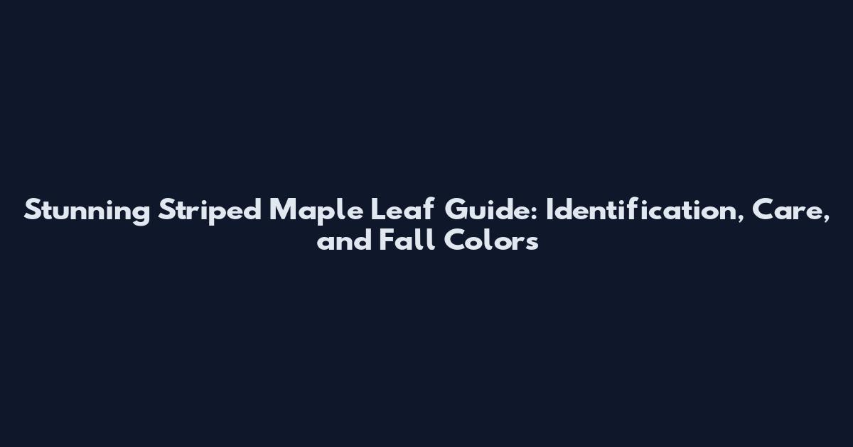 Stunning Striped Maple Leaf Guide: Identification, Care, and Fall Colors